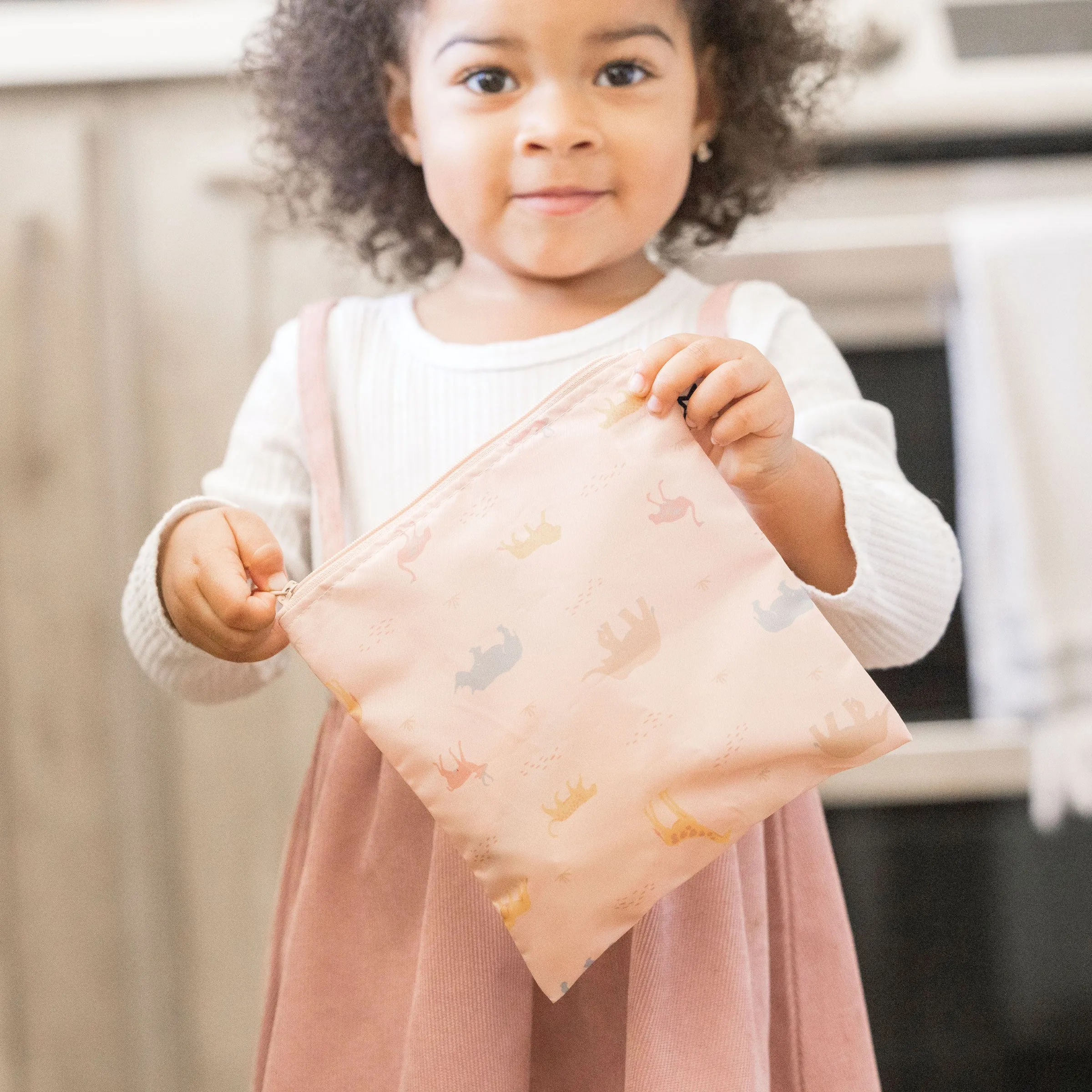 Reusable Snack Bags