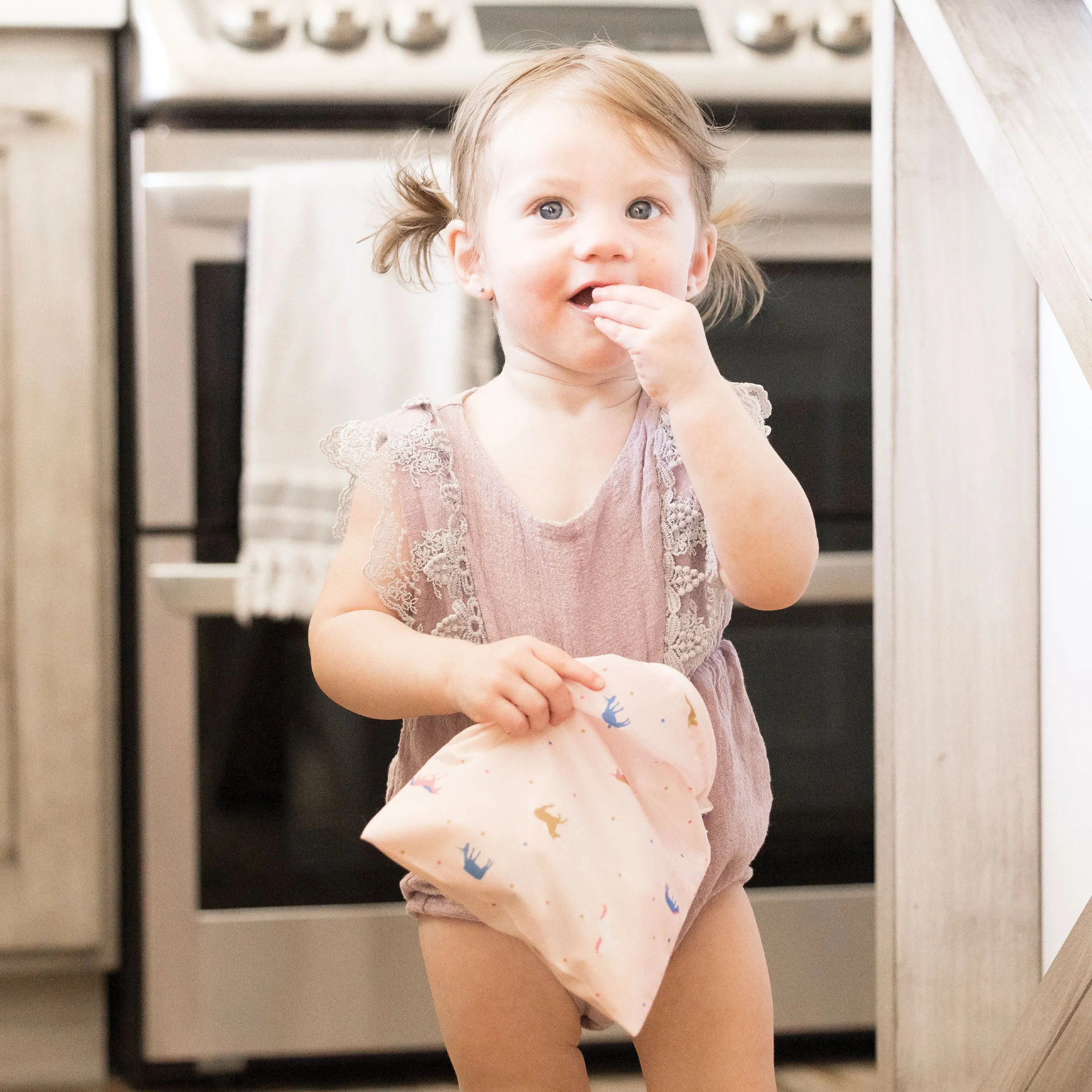 Reusable Snack Bags